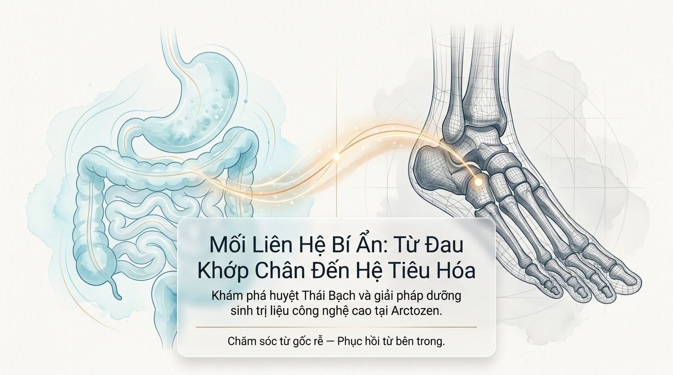 ARCTORUS PYRAMID: HUYỆT THÁI BẠCH VÀ CÔNG NGHỆ PEMF - CƠ CHẾ ĐIỀU HÒA CHUYỂN HÓA VÀ GIẢI ÁP CƠ XƯƠNG KHỚP BÀN CHÂN